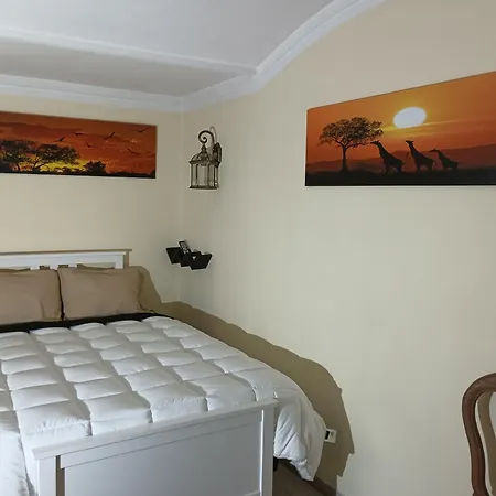 Bed & Breakfast Casa De Artista