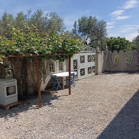 Casa De Artista * Figueiro Dos Vinhos