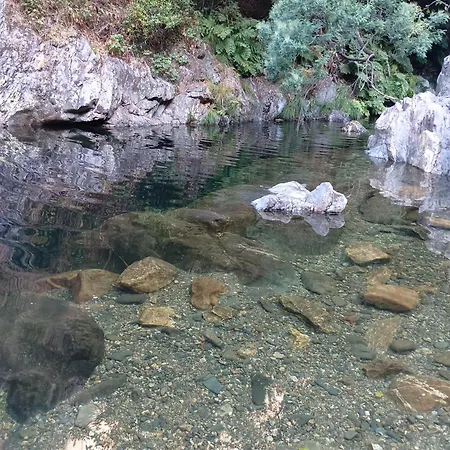 Bed and breakfast Casa De Artista Figueiro Dos Vinhos
