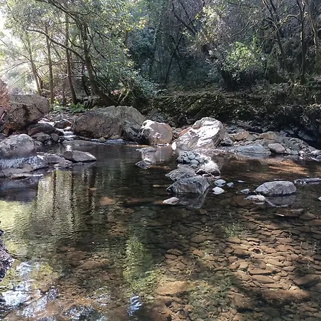 Casa De Artista Bed and breakfast Figueiro Dos Vinhos