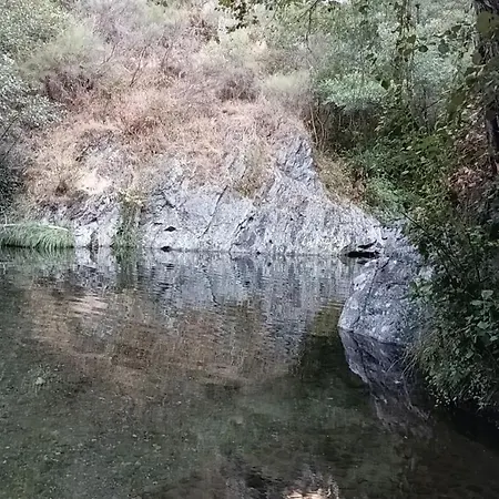 Casa De Artista * Figueiro Dos Vinhos