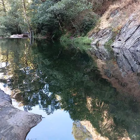 Casa De Artista * Figueiro Dos Vinhos