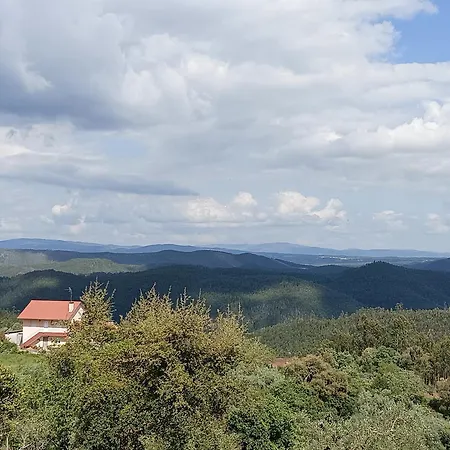 Casa De Artista Nocleg ze śniadaniem