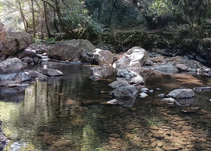 Casa De Artista Отель типа 