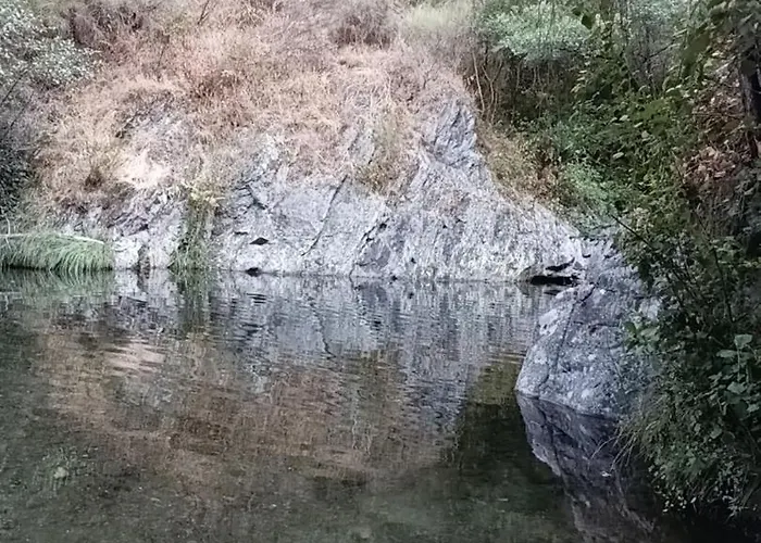 Casa De Artista * Фигейро-душ-Виньюш