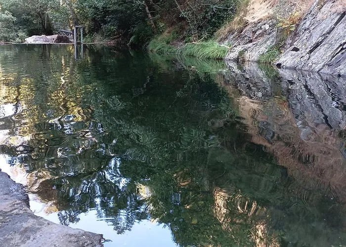 Casa De Artista * Figueiro Dos Vinhos